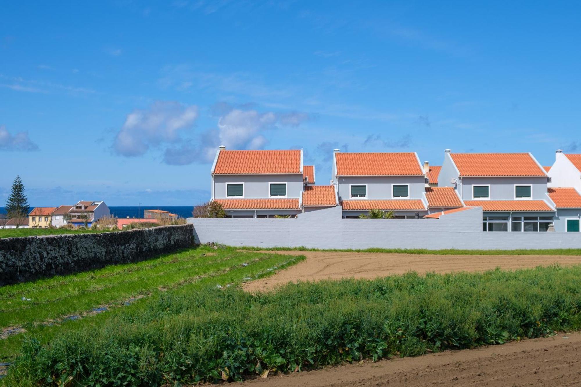 Areal De Santa Barbara Guest House Рибейра-Гранди Экстерьер фото